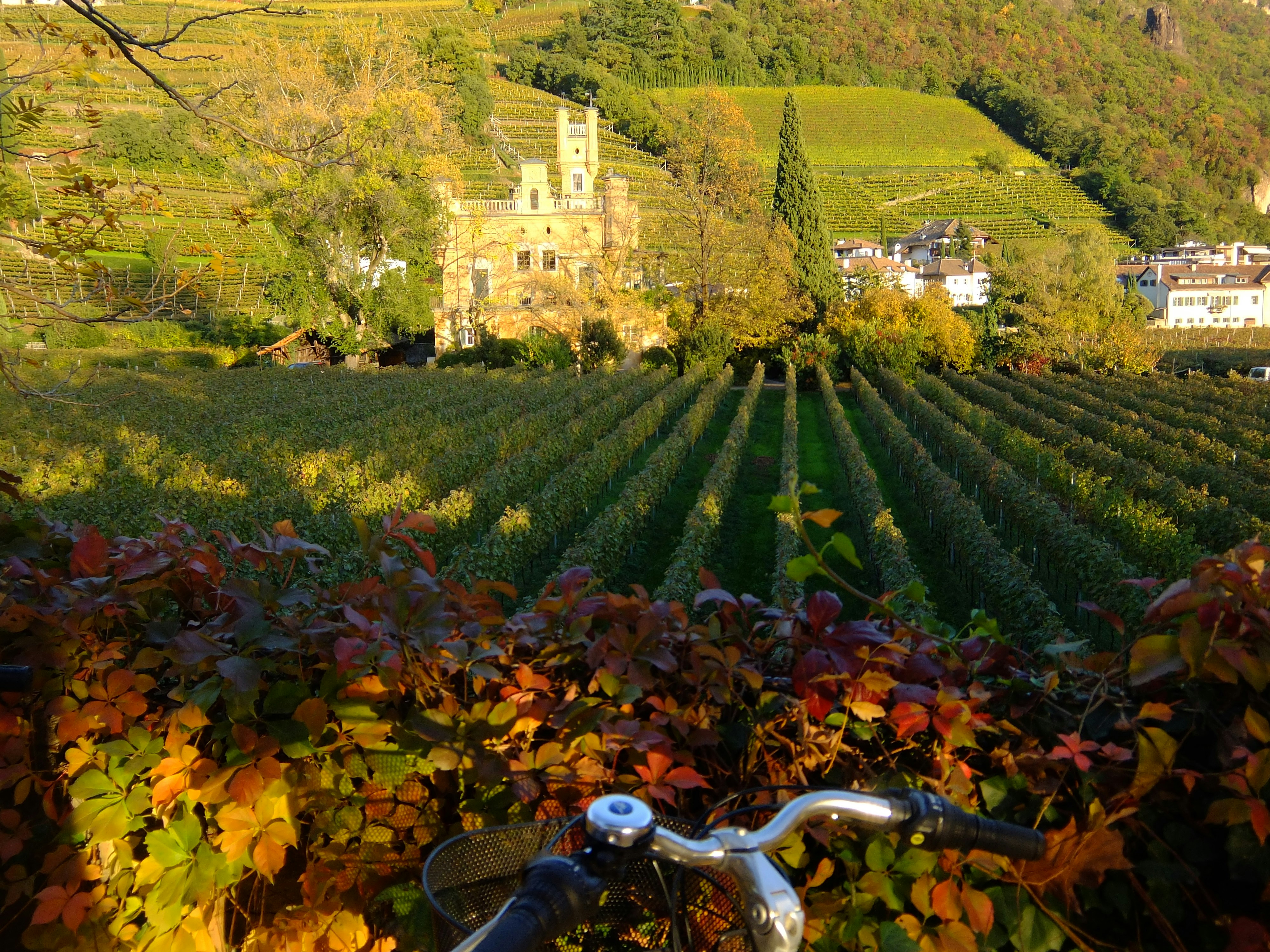 Free Unsplash photo from Jessica Berg