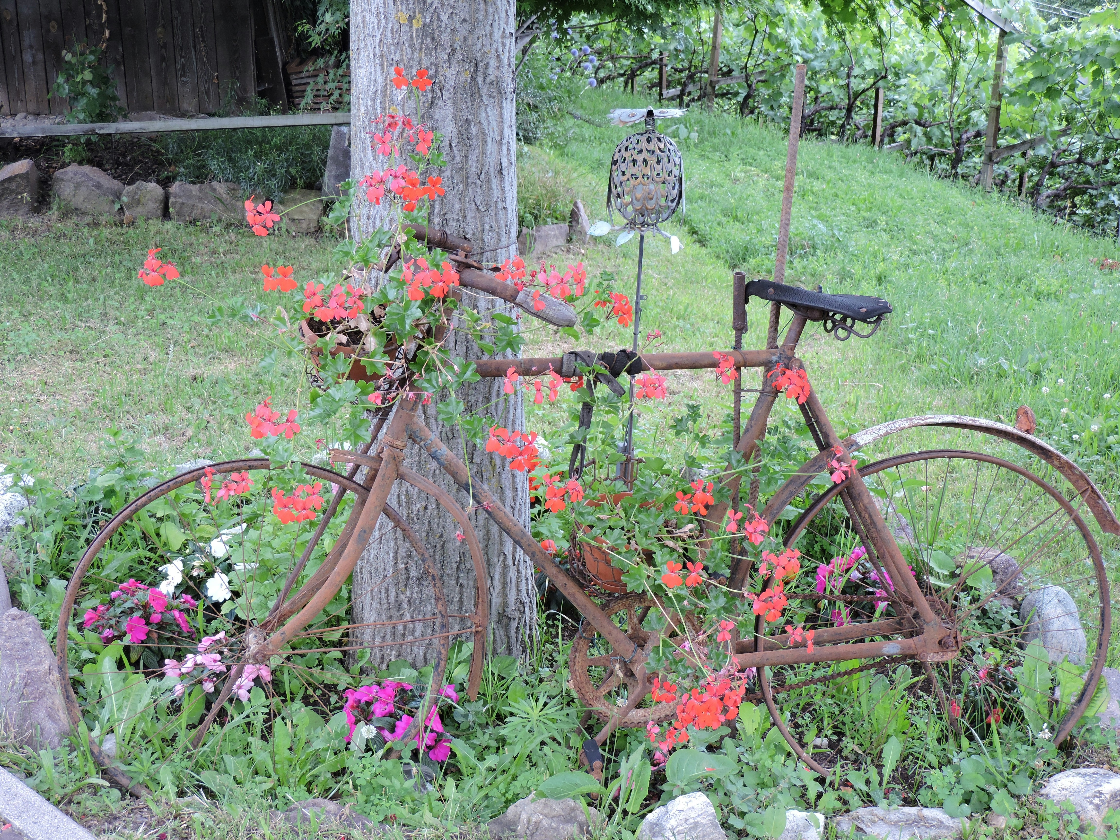 Free Unsplash photo from Jessica Berg