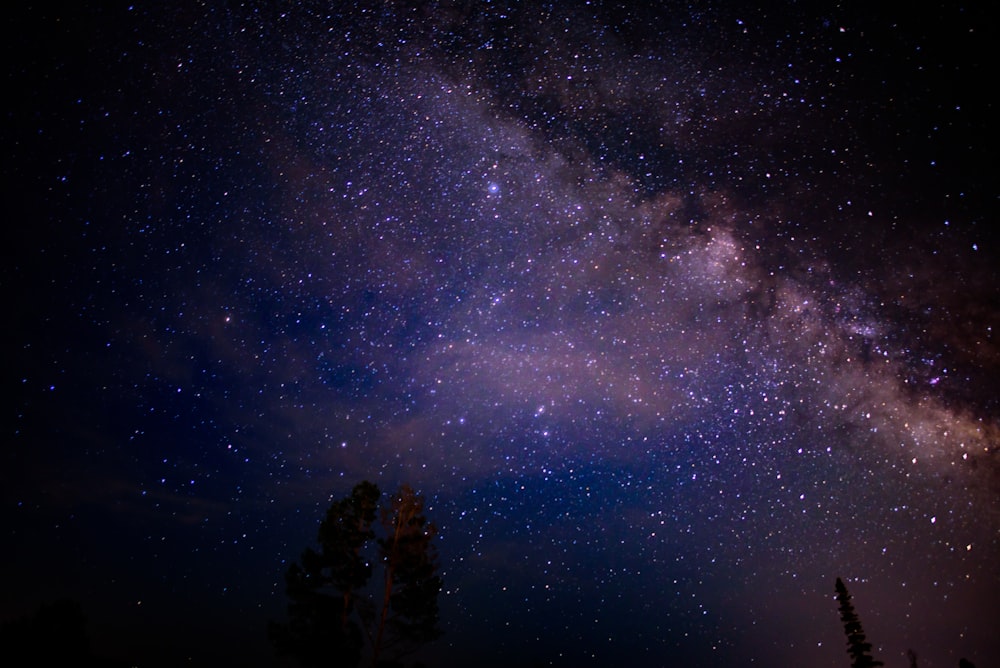 the night sky with stars and the milky