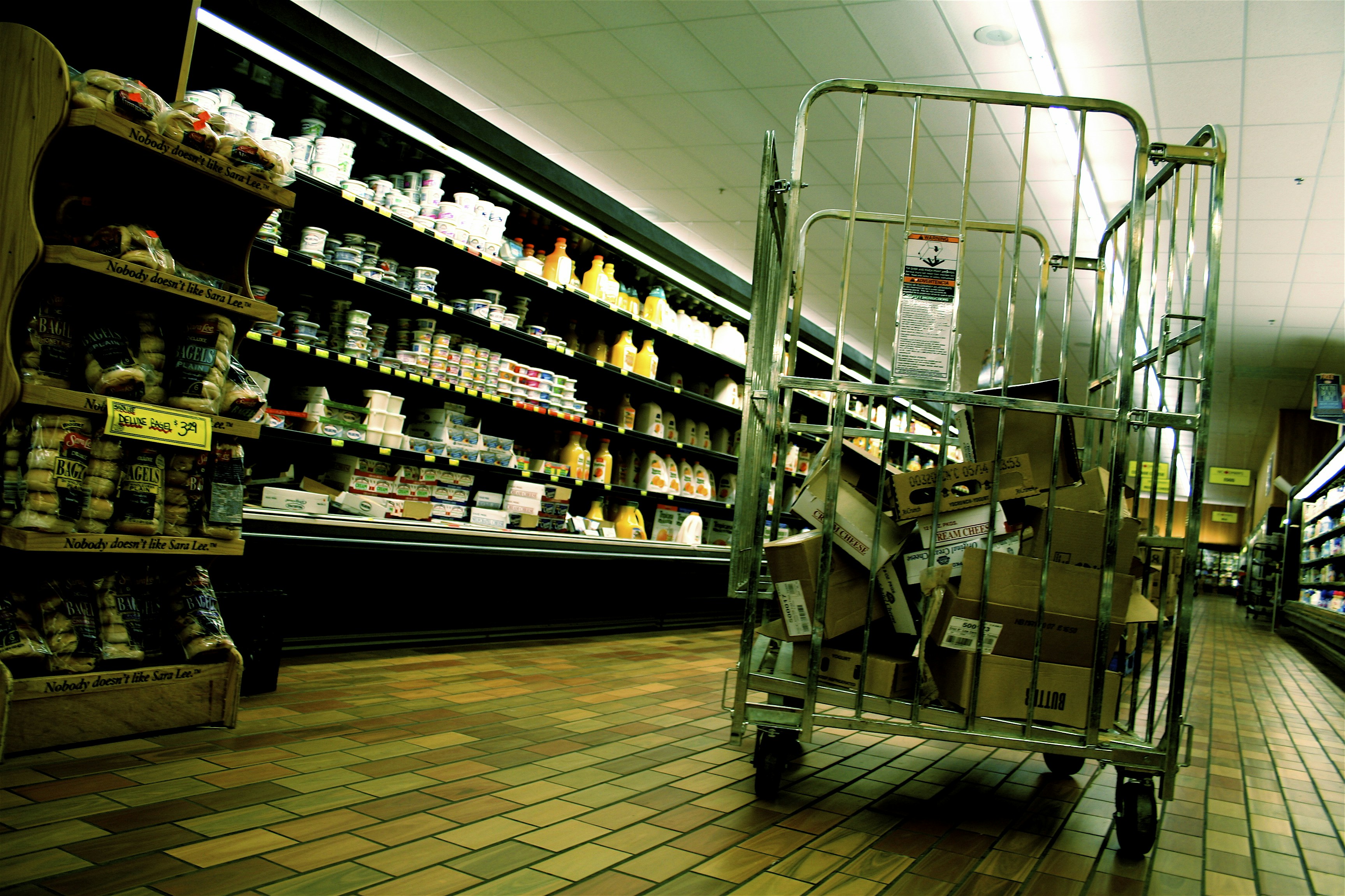 Free Unsplash photo from Frank Okay