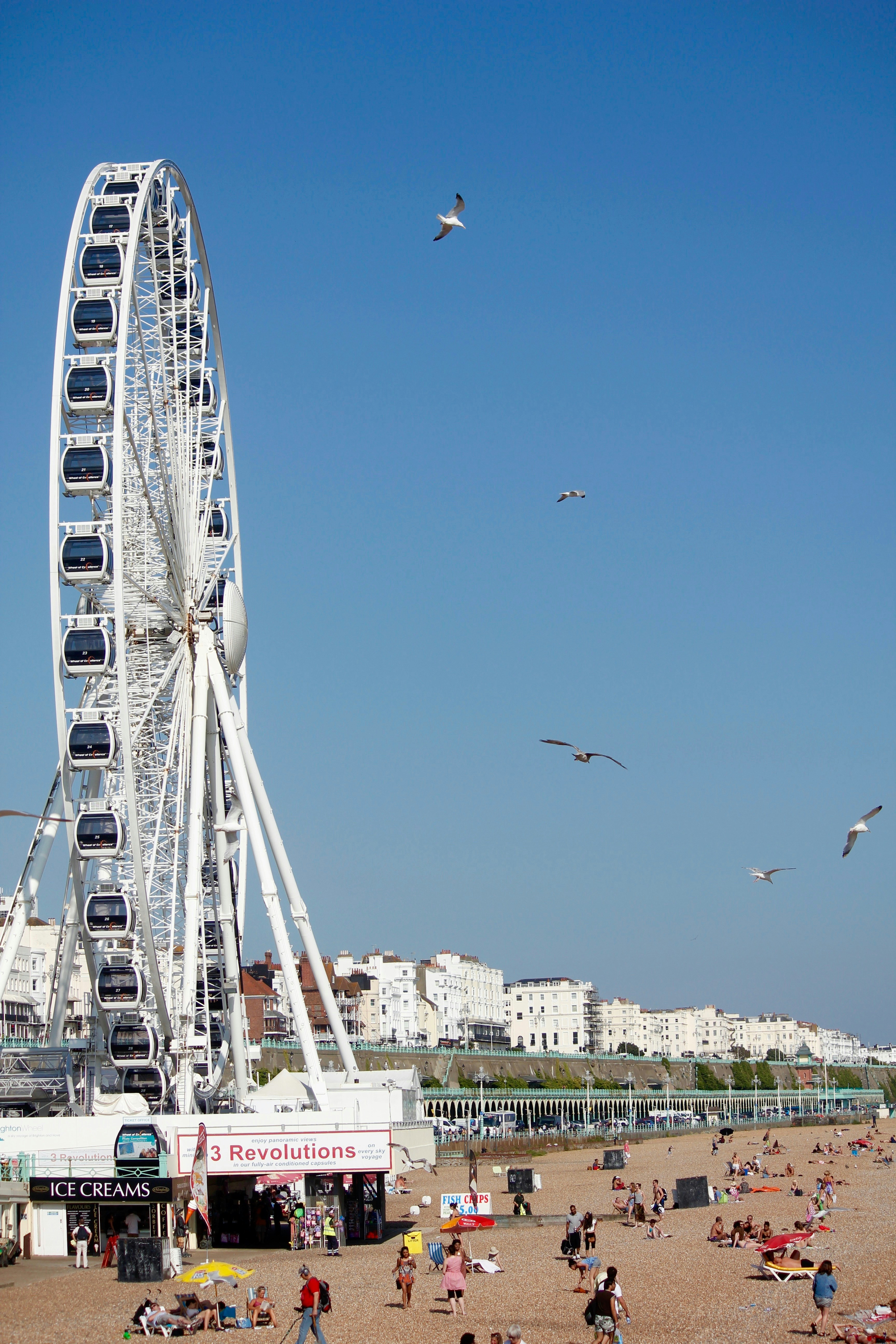 Free Unsplash photo from Megan Menegay