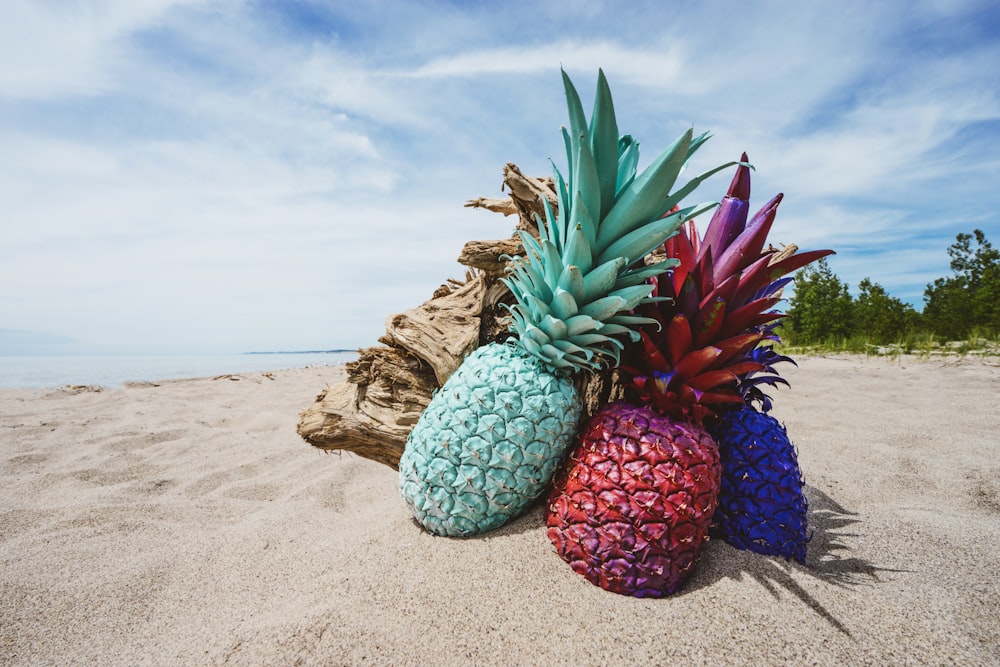 Pineappls de colores variados
