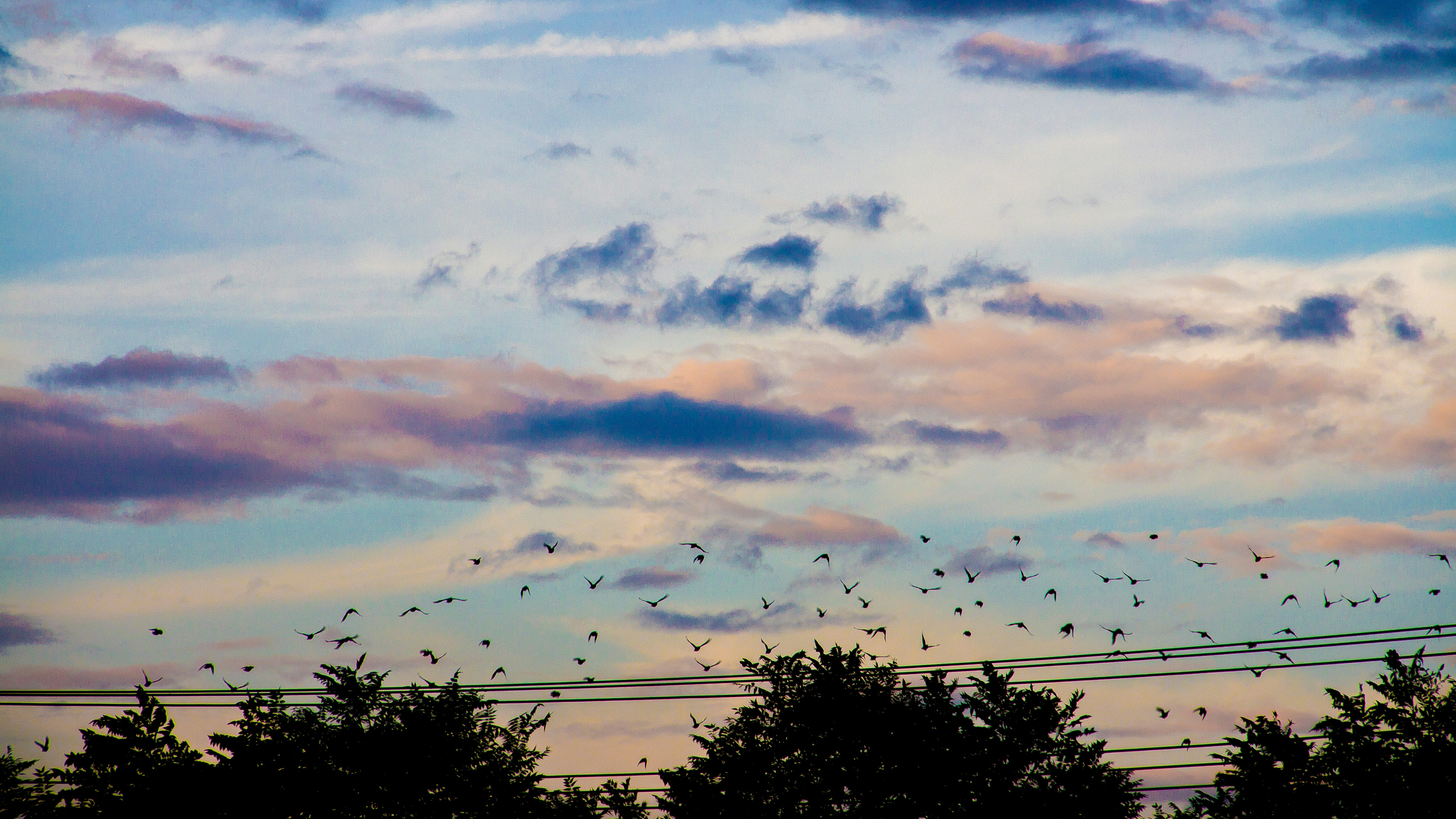 Free Unsplash photo from pxy zh