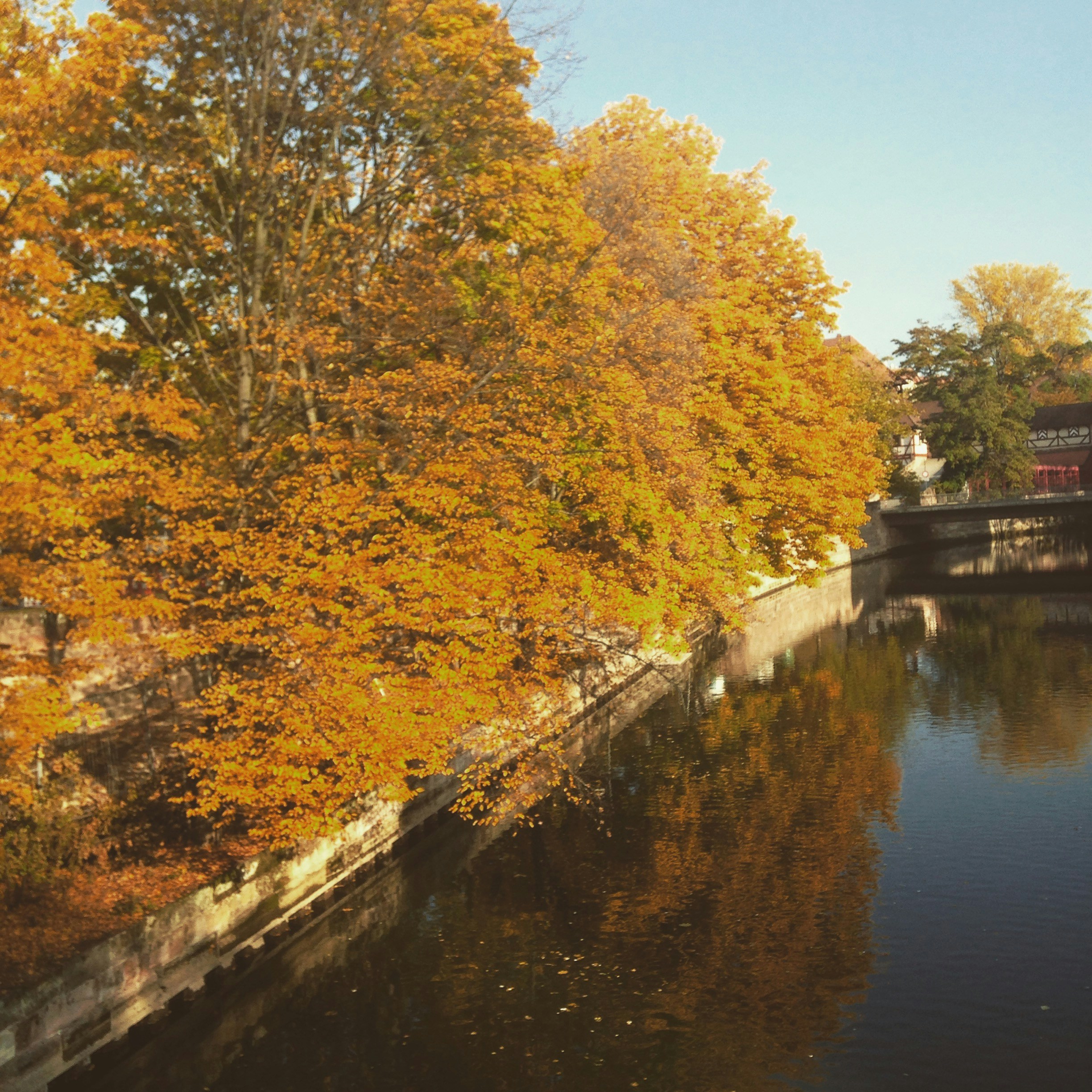 Free Unsplash photo from Elisabeth Anghel