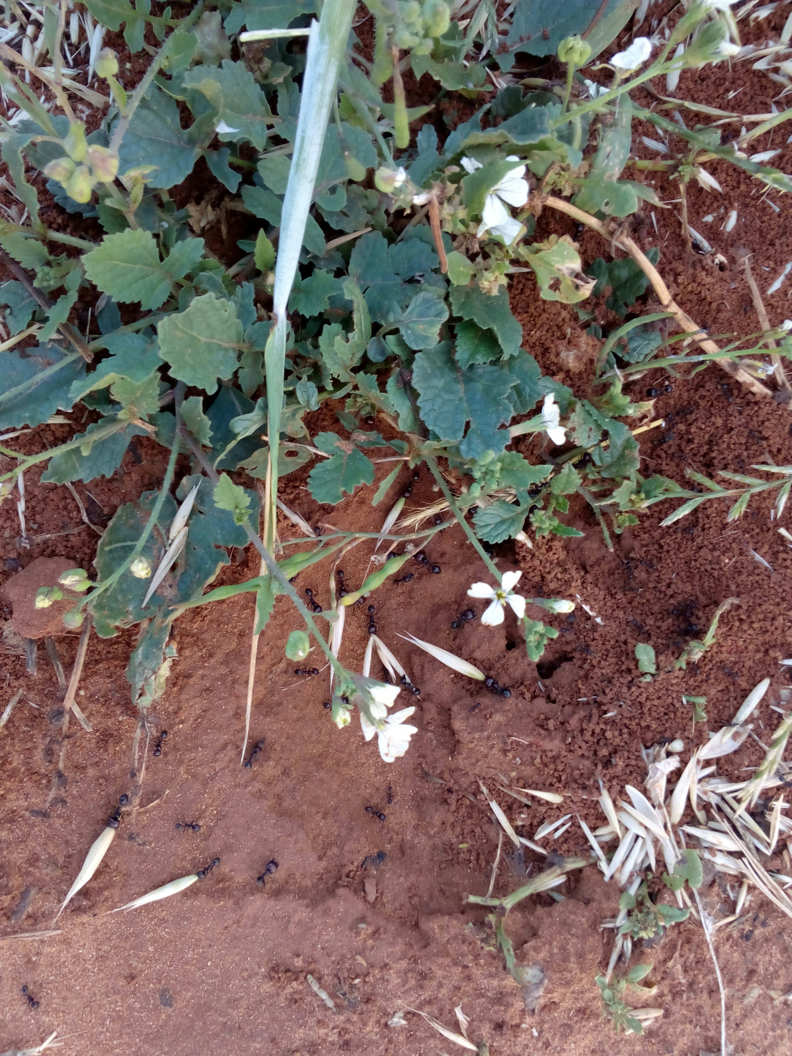 Free Unsplash photo from REDA BAROUDI