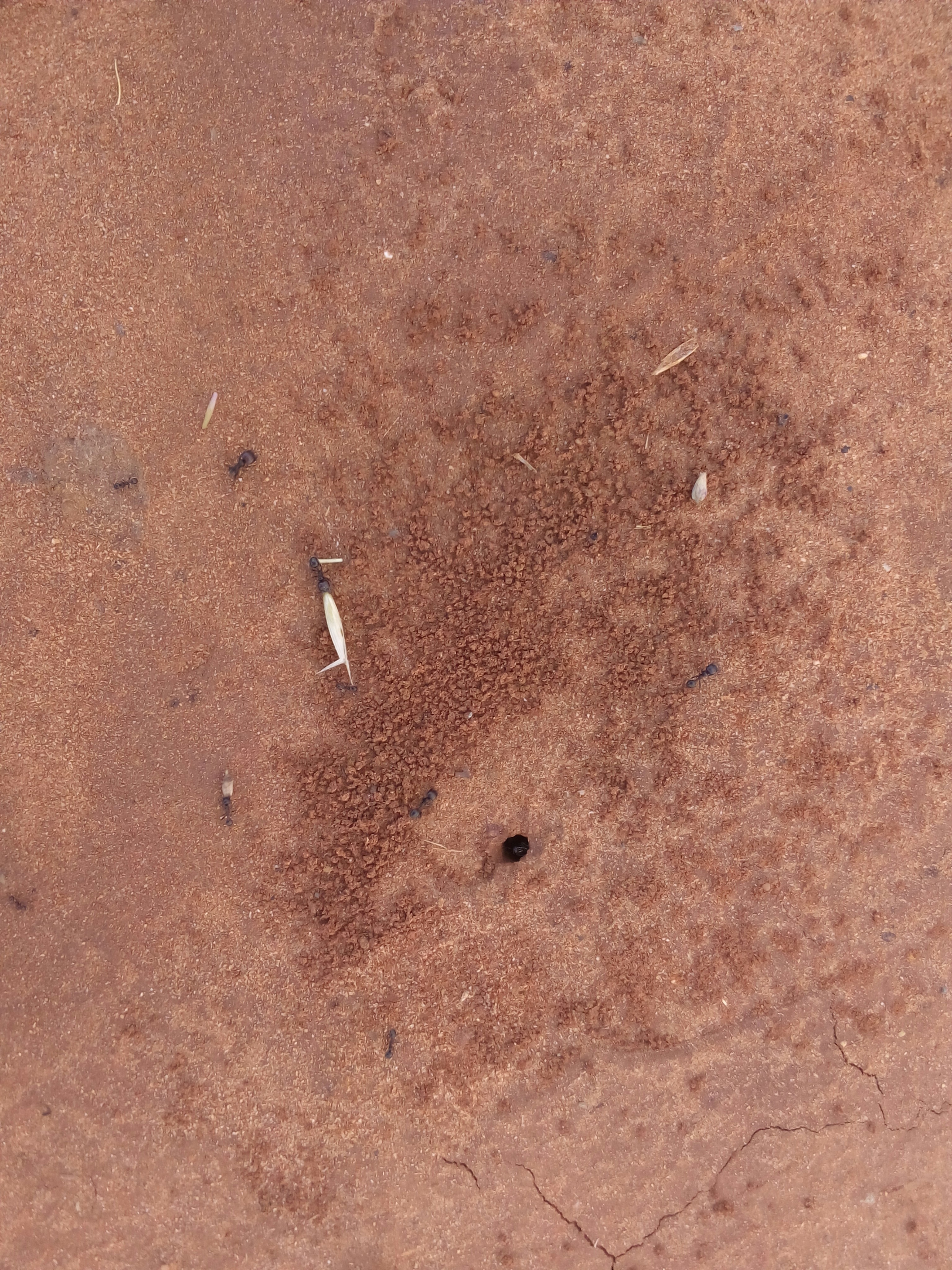 Free Unsplash photo from REDA BAROUDI