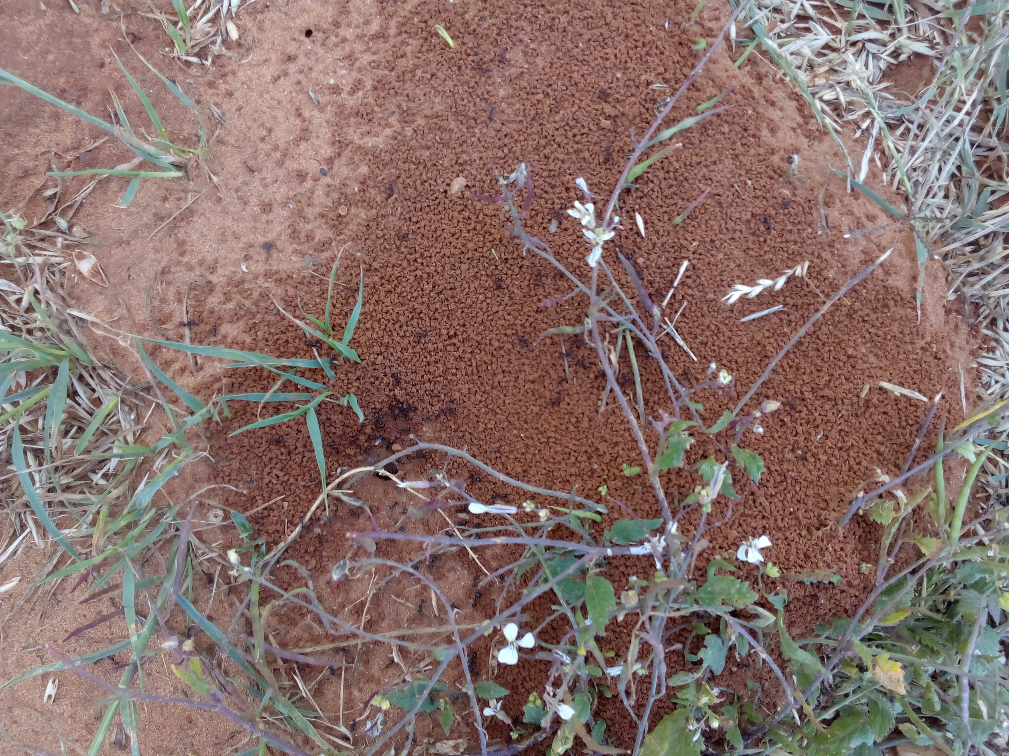 Free Unsplash photo from REDA BAROUDI