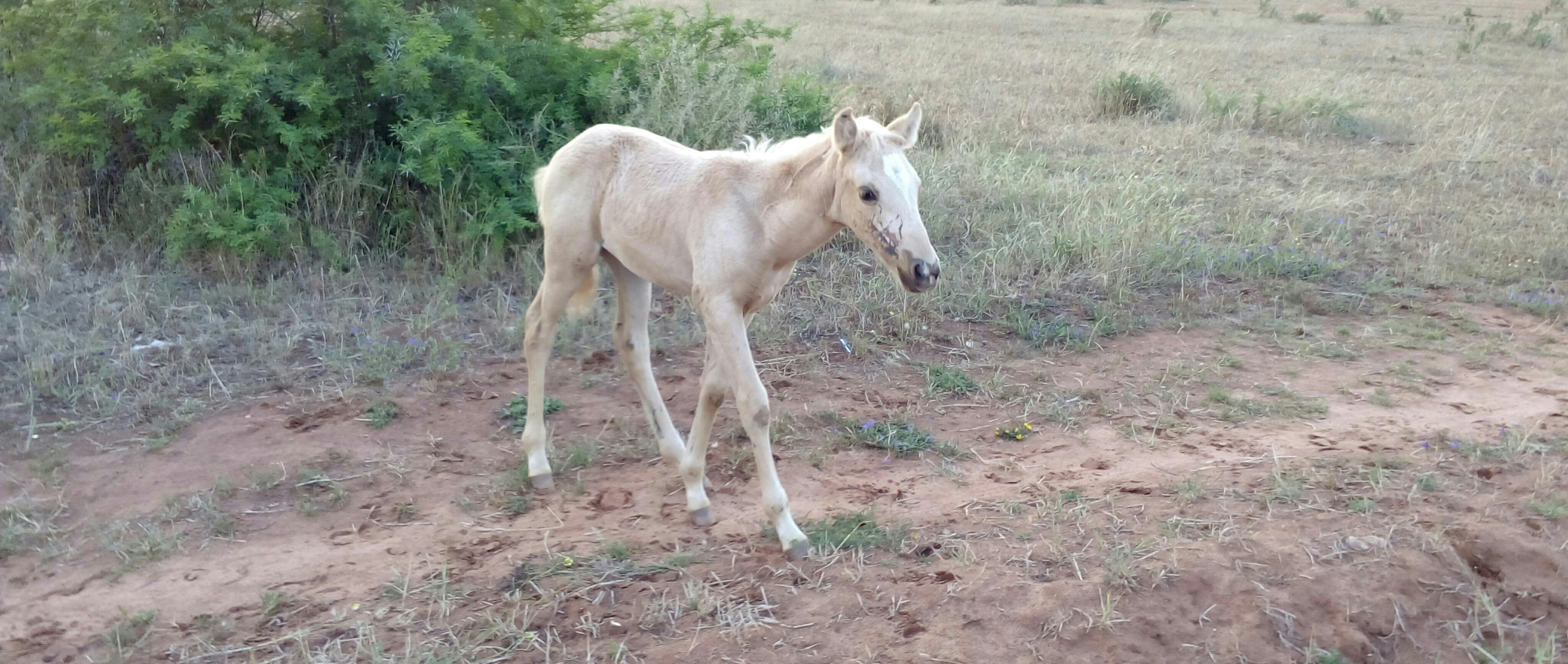 Free Unsplash photo from REDA BAROUDI