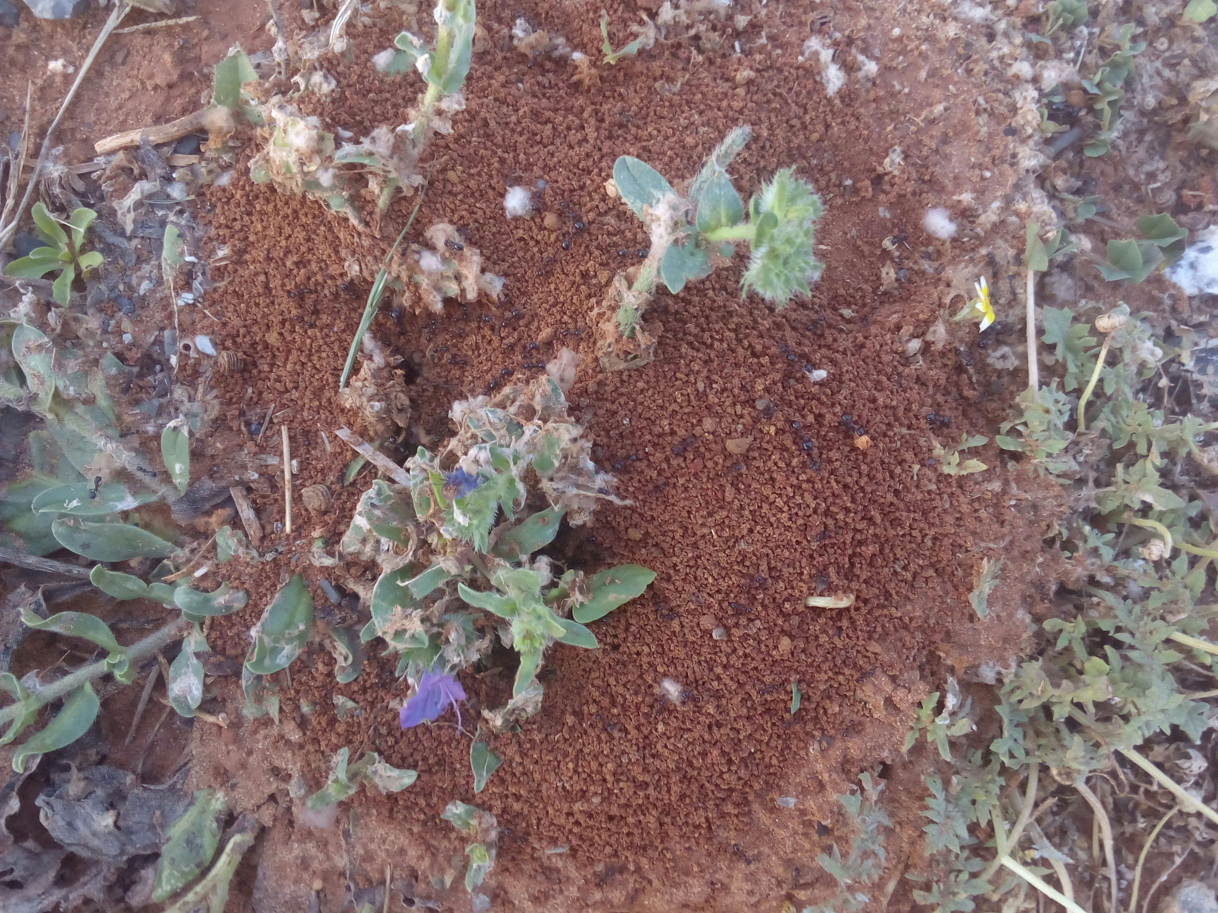 Free Unsplash photo from REDA BAROUDI