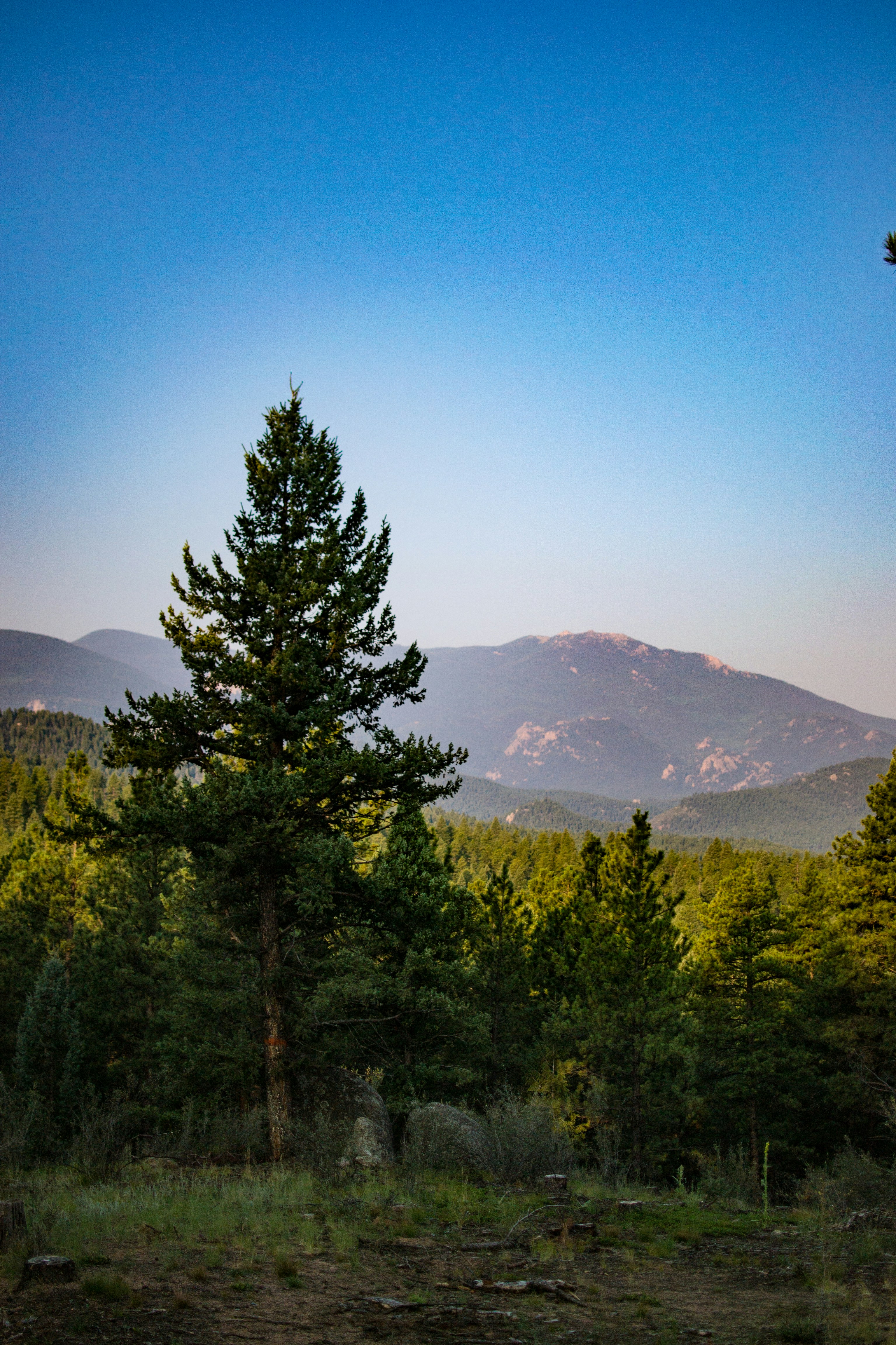 Free Unsplash photo from Nick Tiemeyer