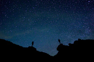 A vibrant artistic illustration of the Gemini twins, Castor and Pollux, under a starry night sky.
