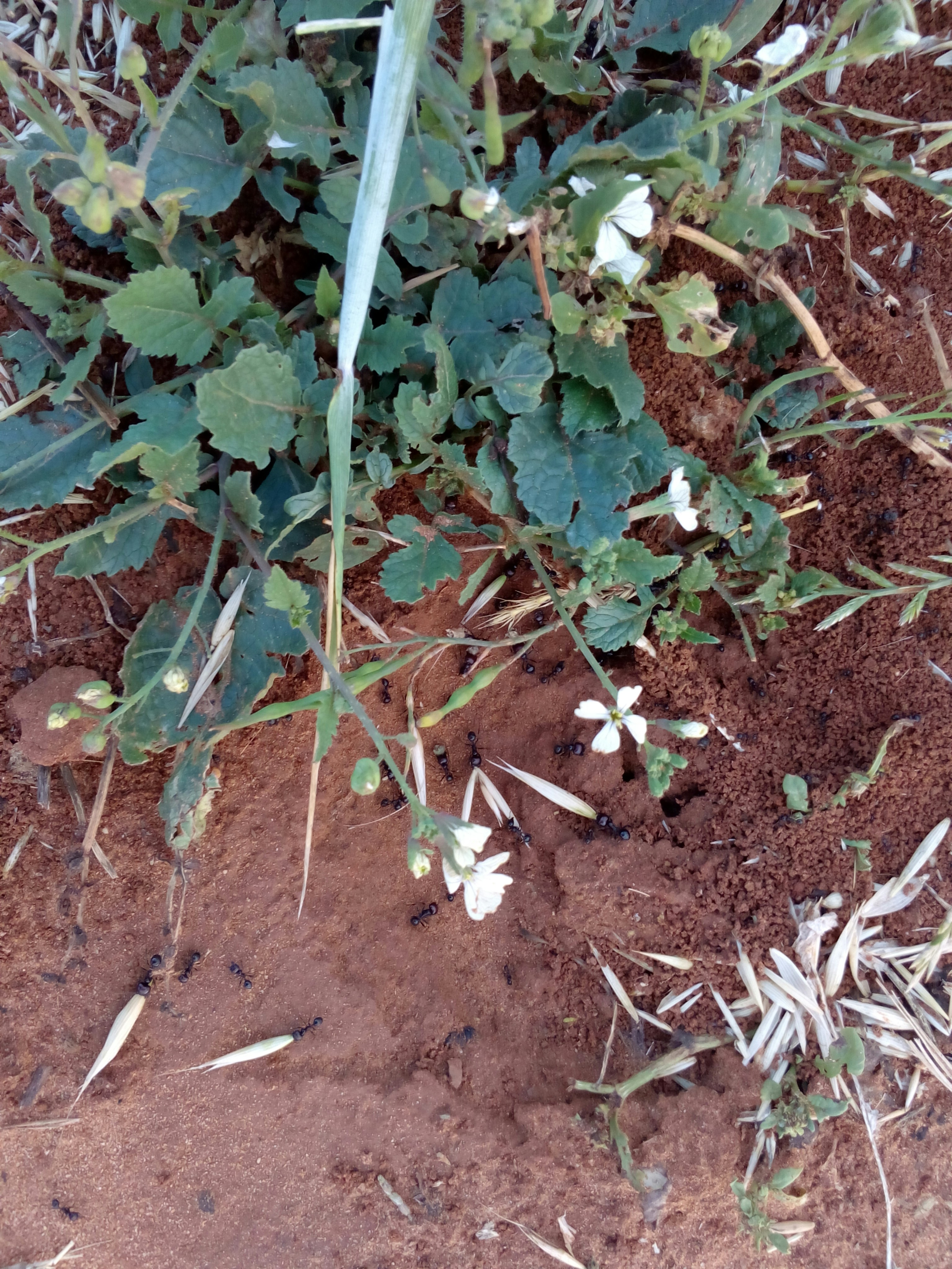 Free Unsplash photo from REDA BAROUDI