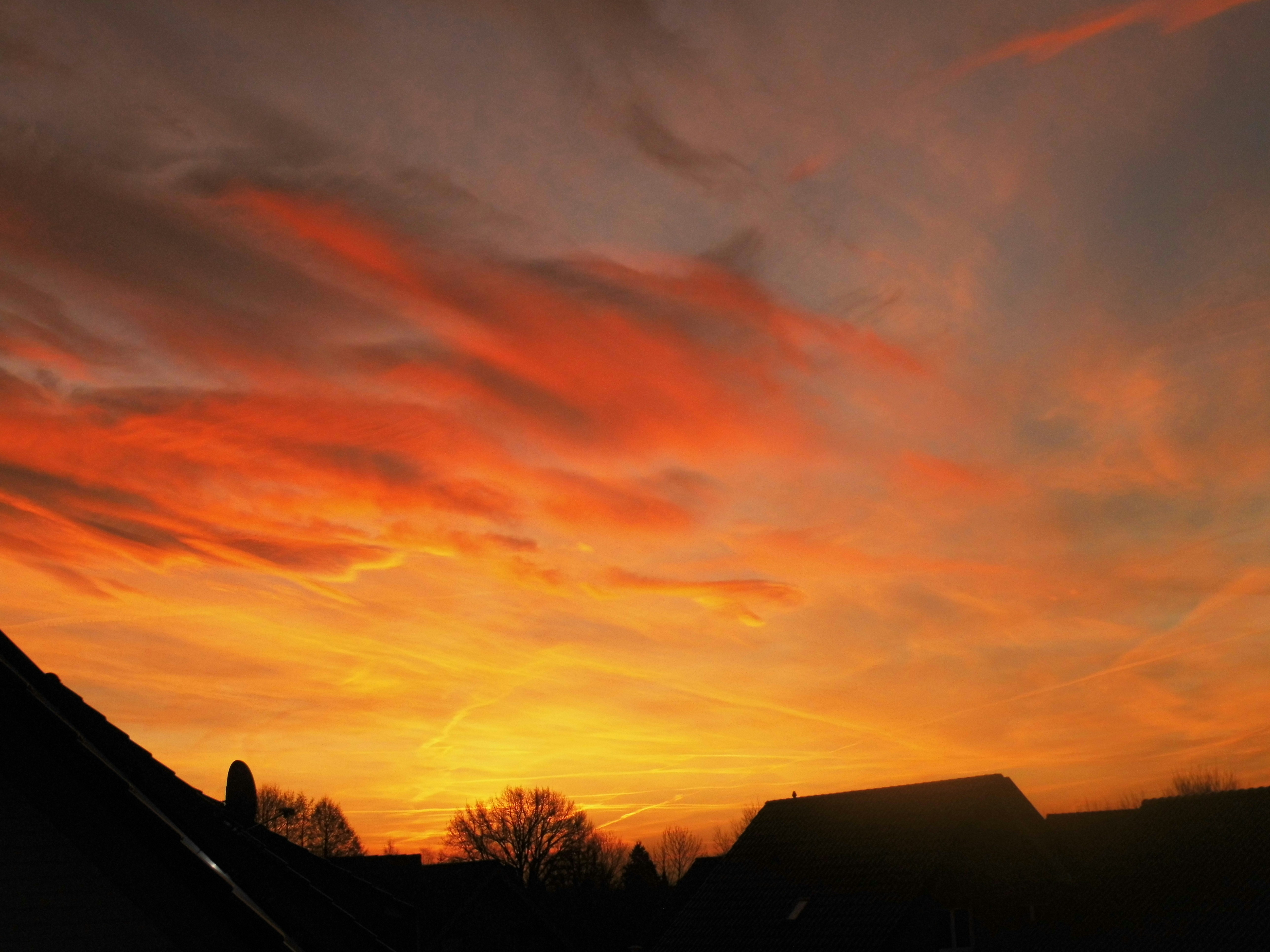 Free Unsplash photo from Fotolehrling