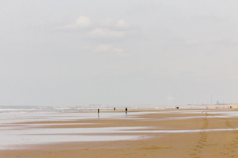 sea horizon during daytime