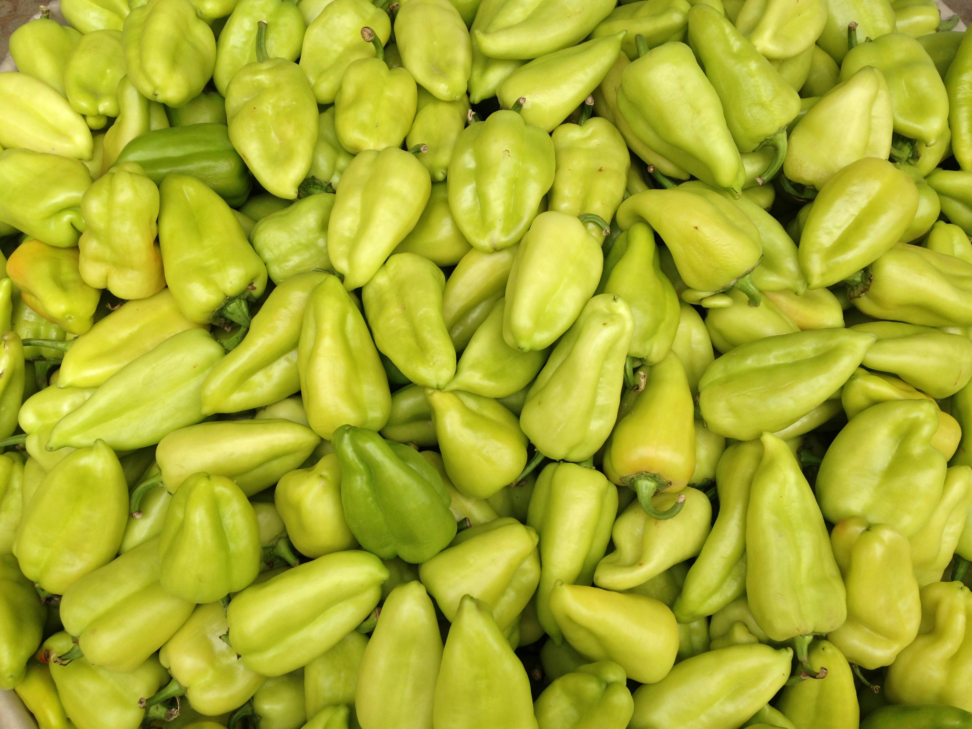 Free Unsplash photo from uday nayak