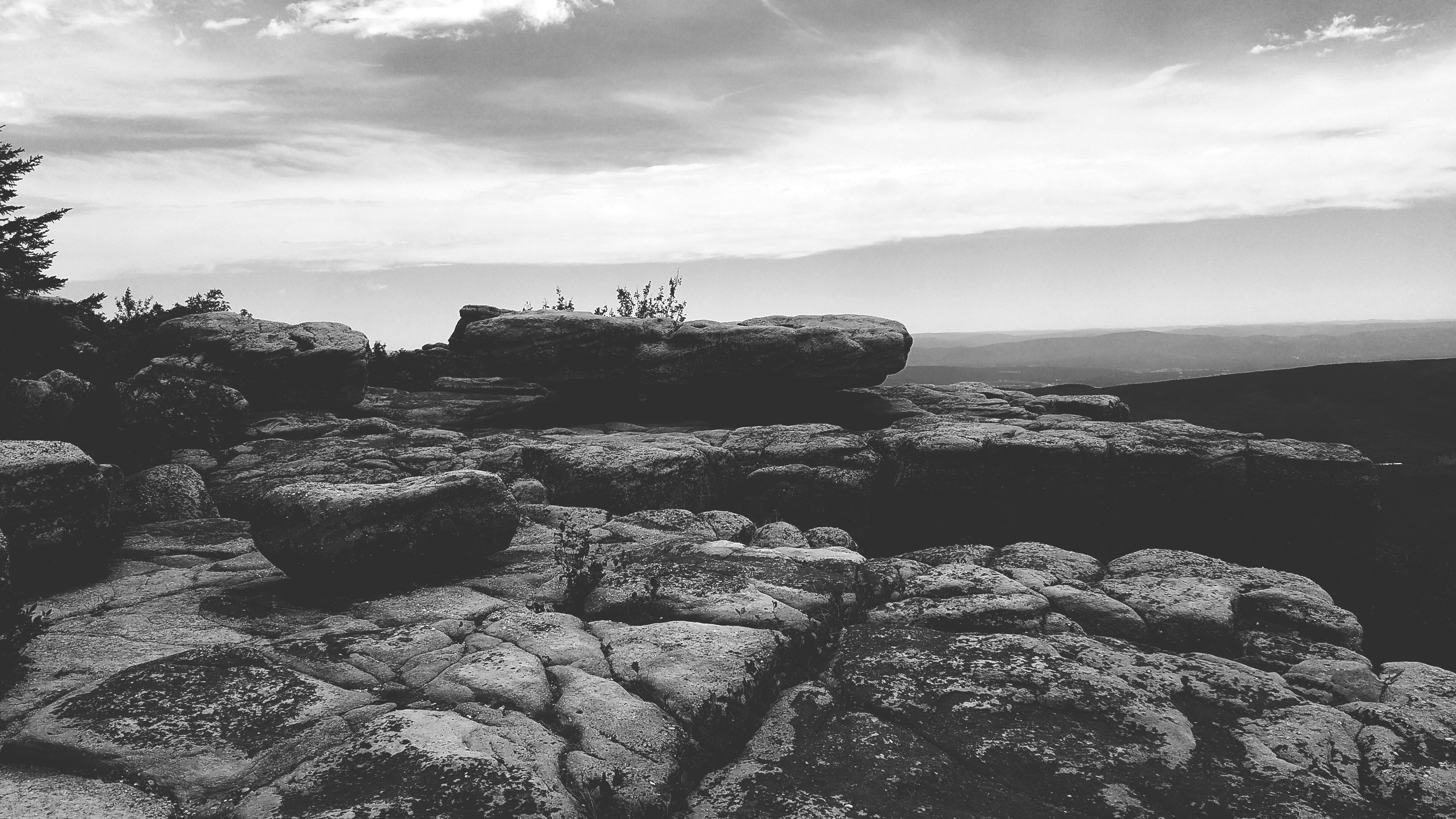 Free Unsplash photo from Jesse  Knight