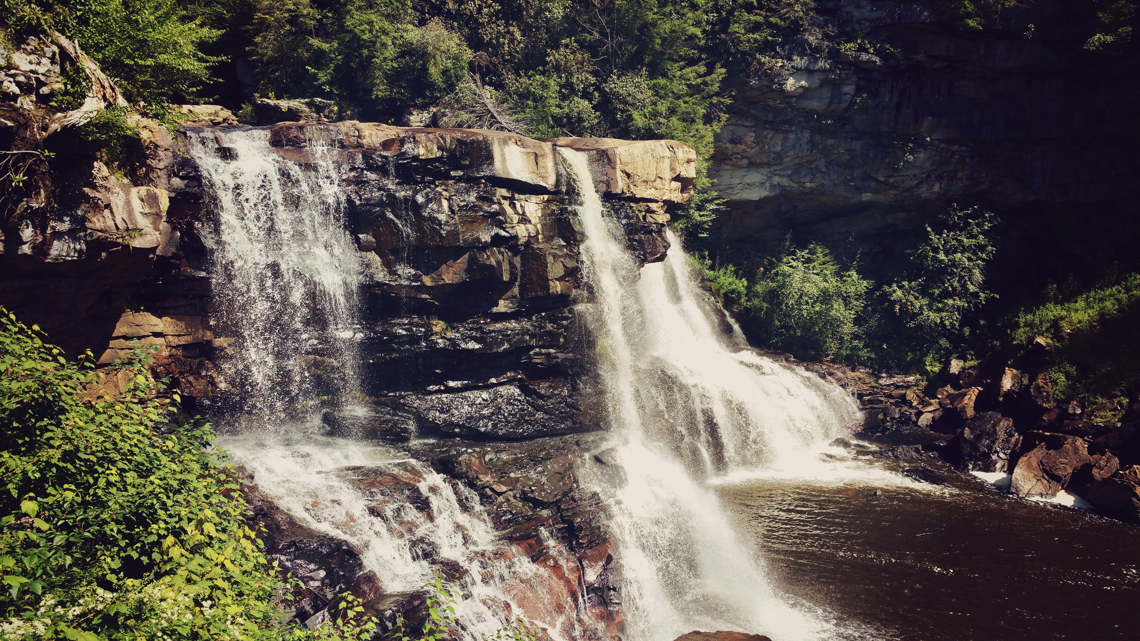 Free Unsplash photo from Jesse  Knight