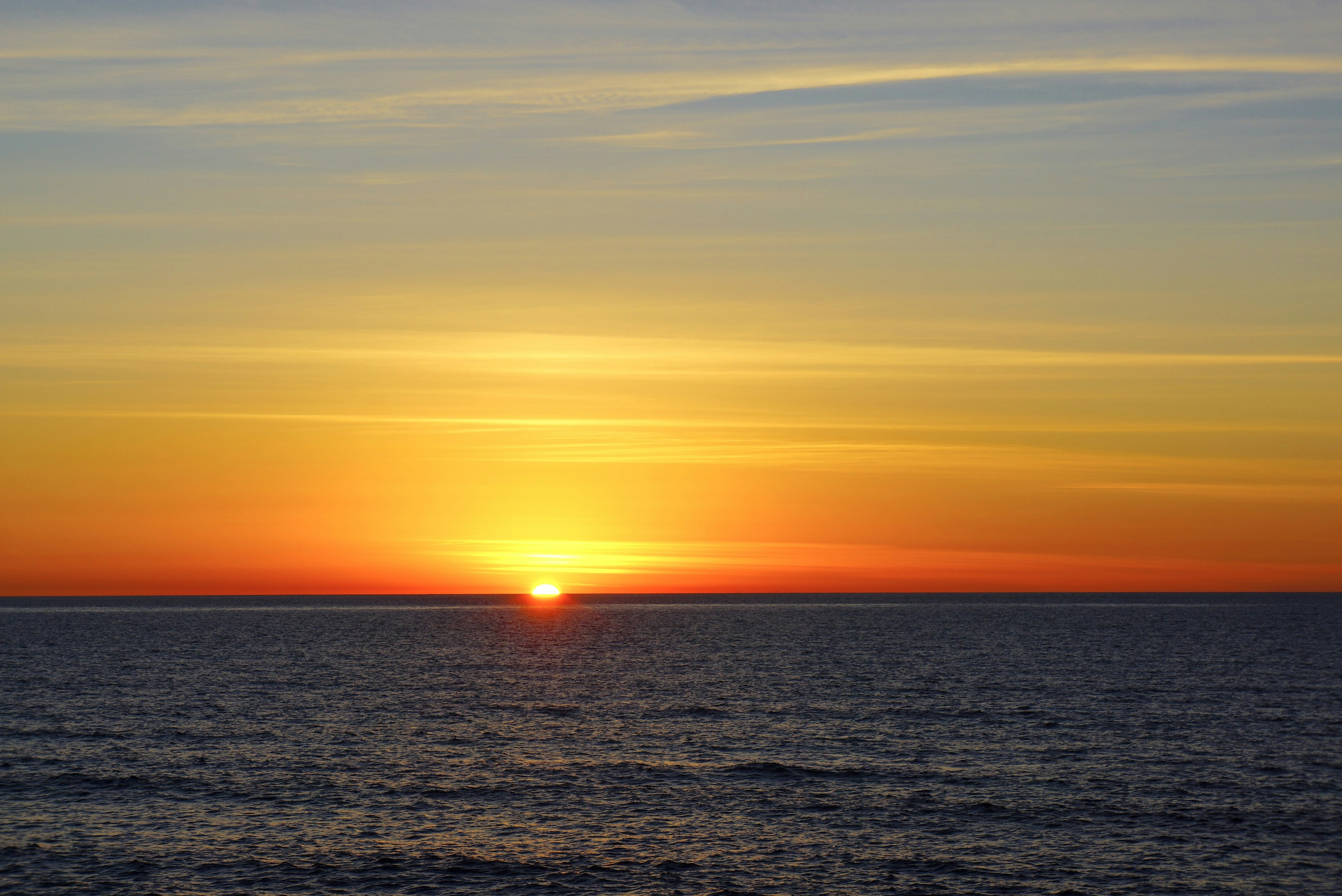 Free Unsplash photo from Joyce Wu