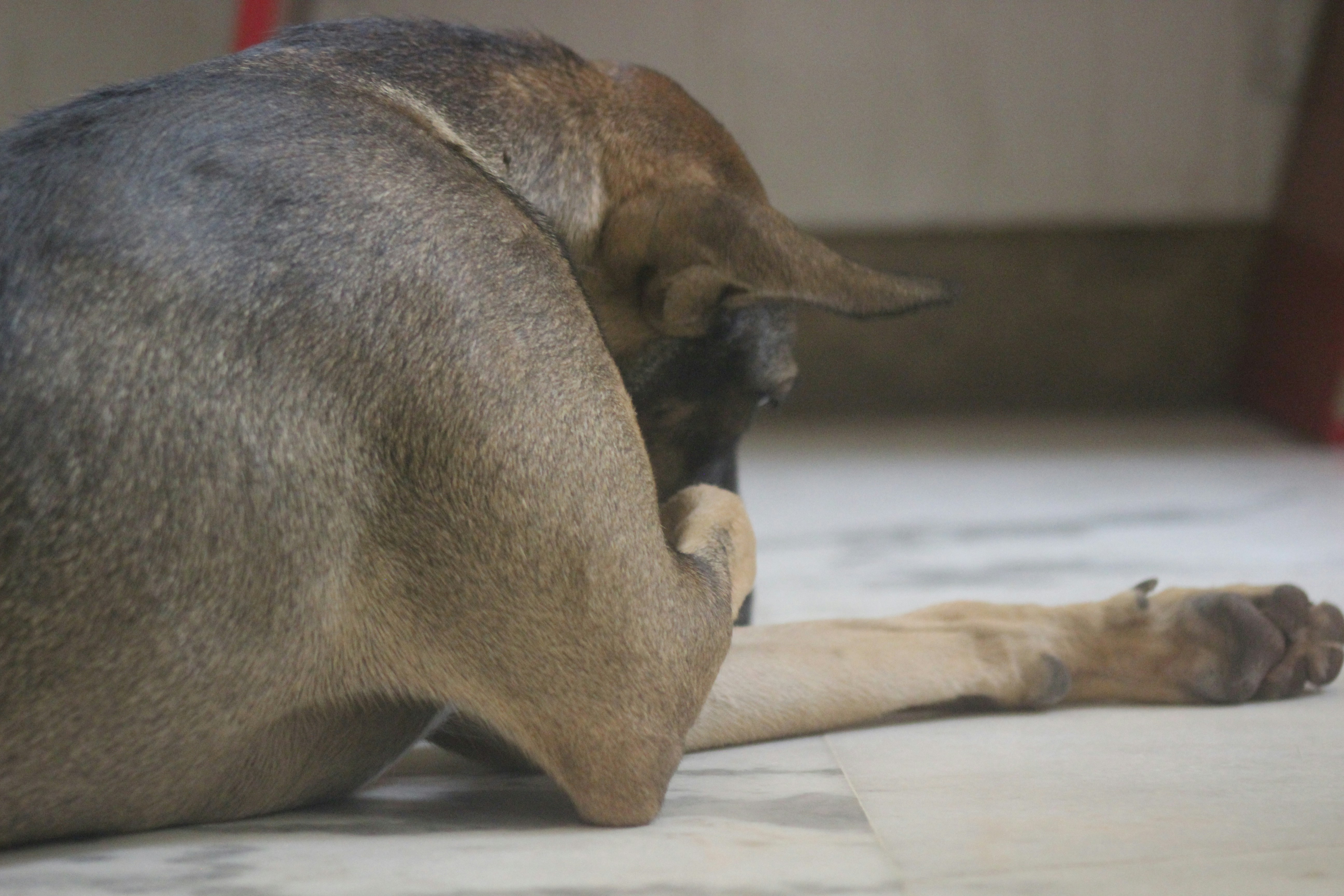 Free Unsplash photo from Harsh Maheshwari