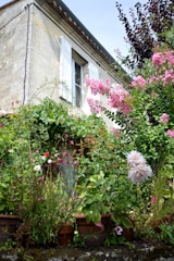 An image of a renovated home with a beautiful garden.