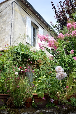 A warm, sunlit view of the century-old house's facade showing aged bricks and blooming flowers.