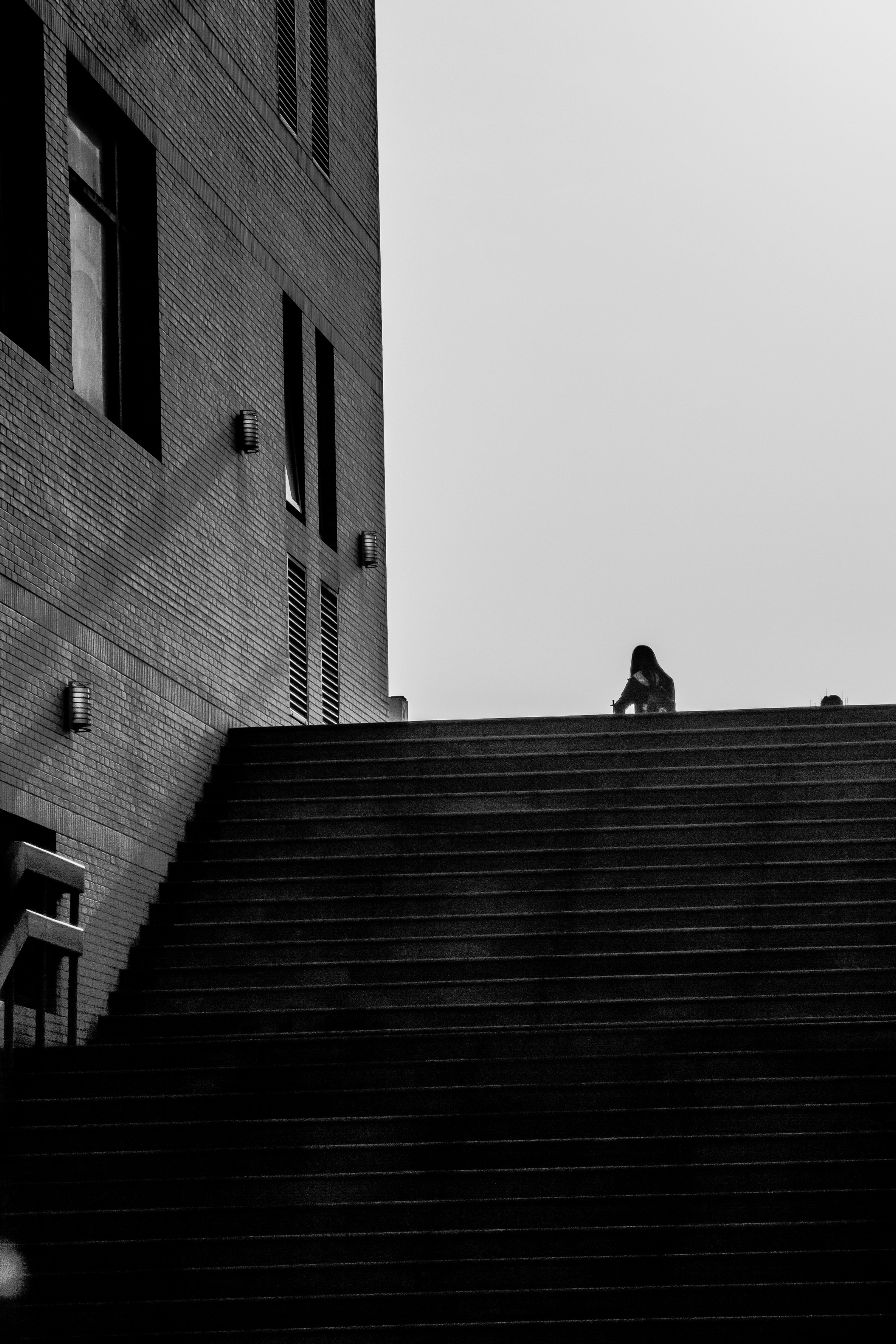 Free Unsplash photo from pxy zh