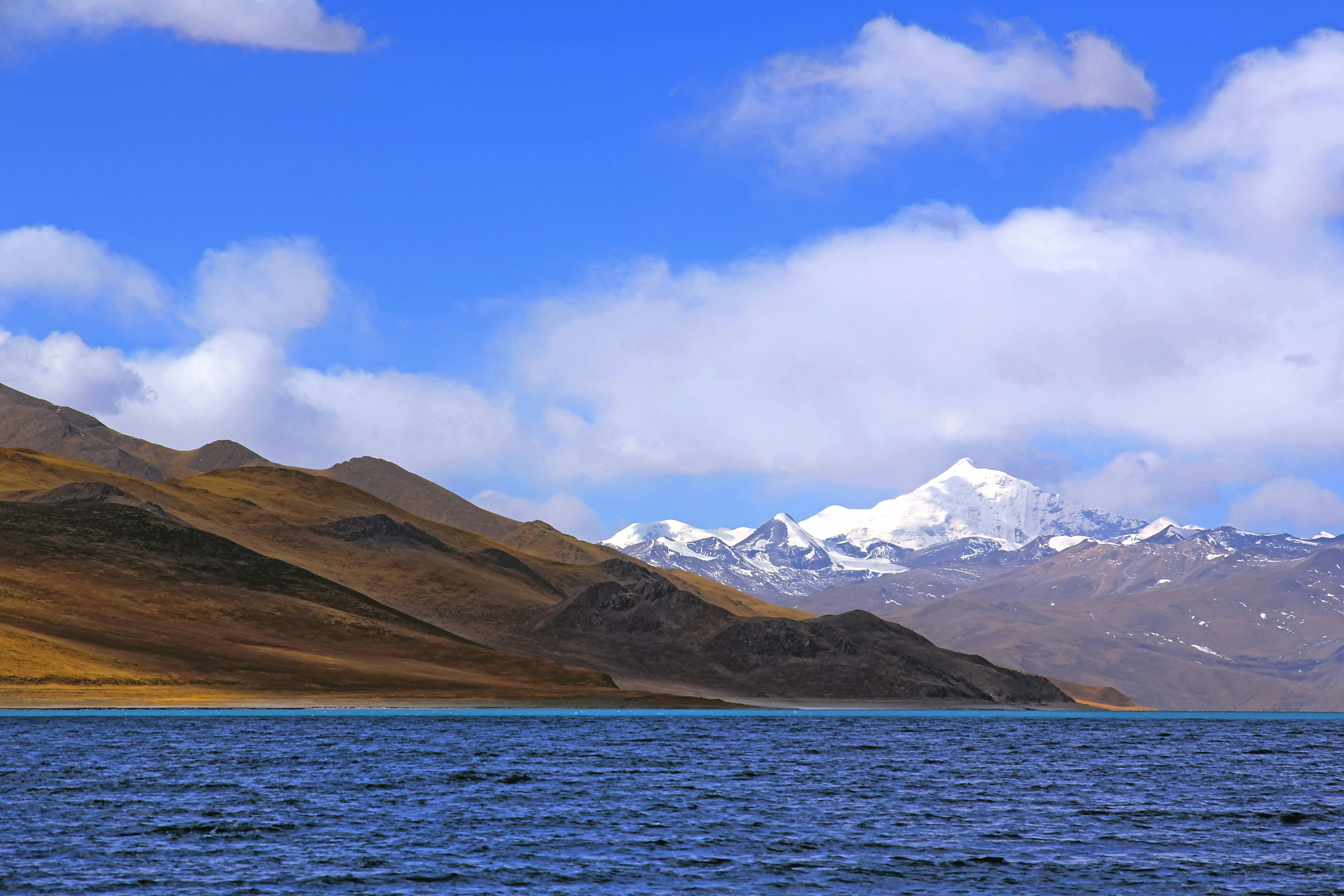 Free Unsplash photo from wayne_ooone Wang