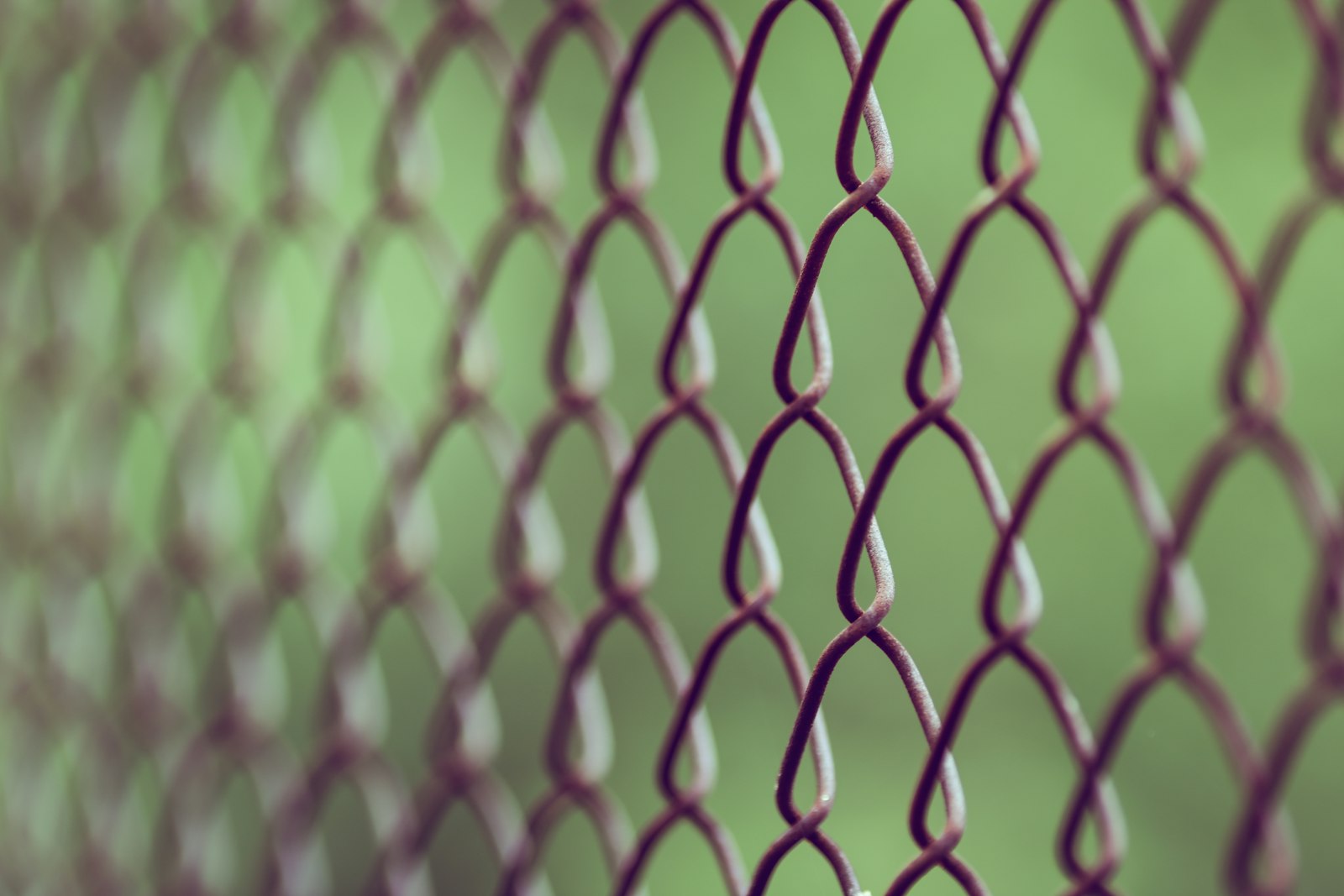 Canon EF 200mm F2.8L II USM sample photo. Brown chain-link fence in photography
