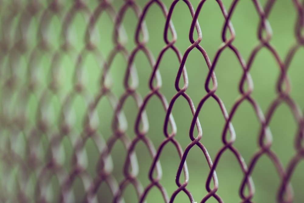 brown chain-link fence in closeup photography at daytime