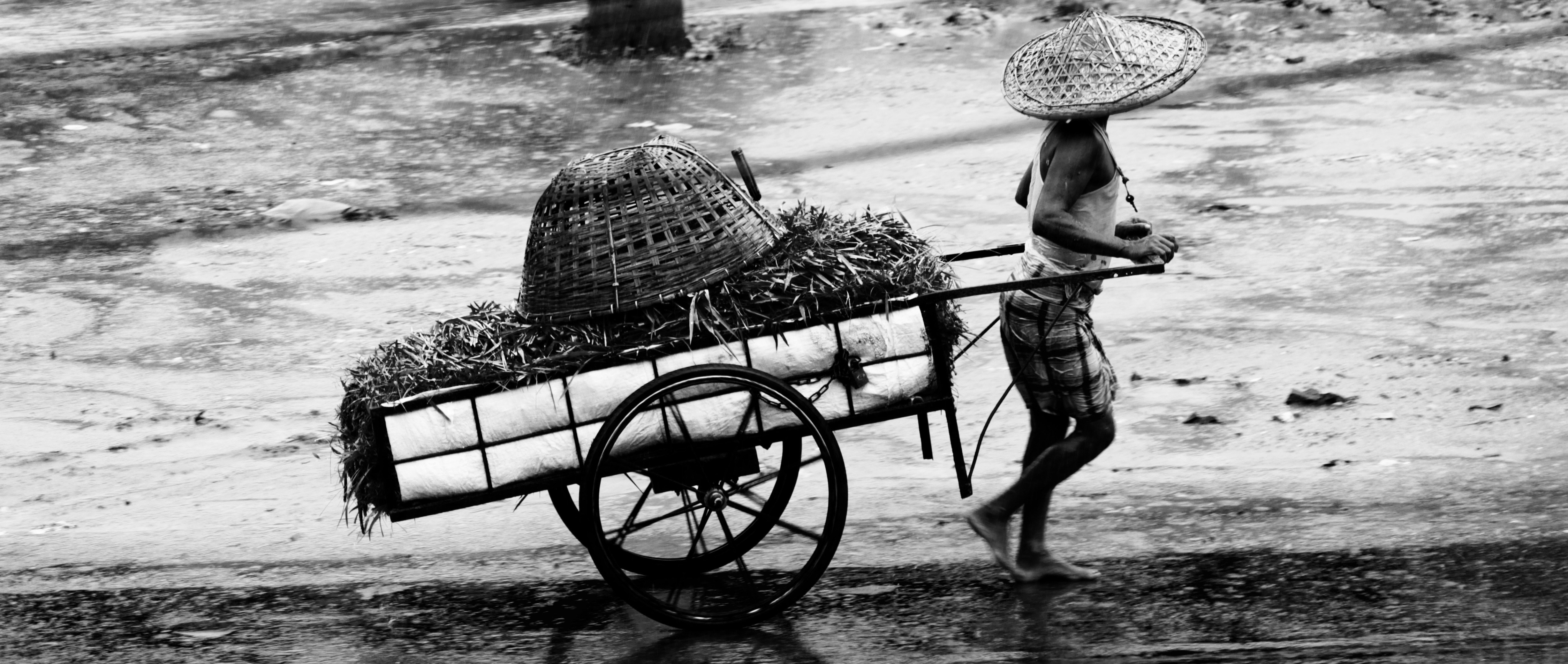 Free Unsplash photo from Pujohn Das