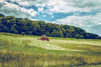 red tractor on green grass field