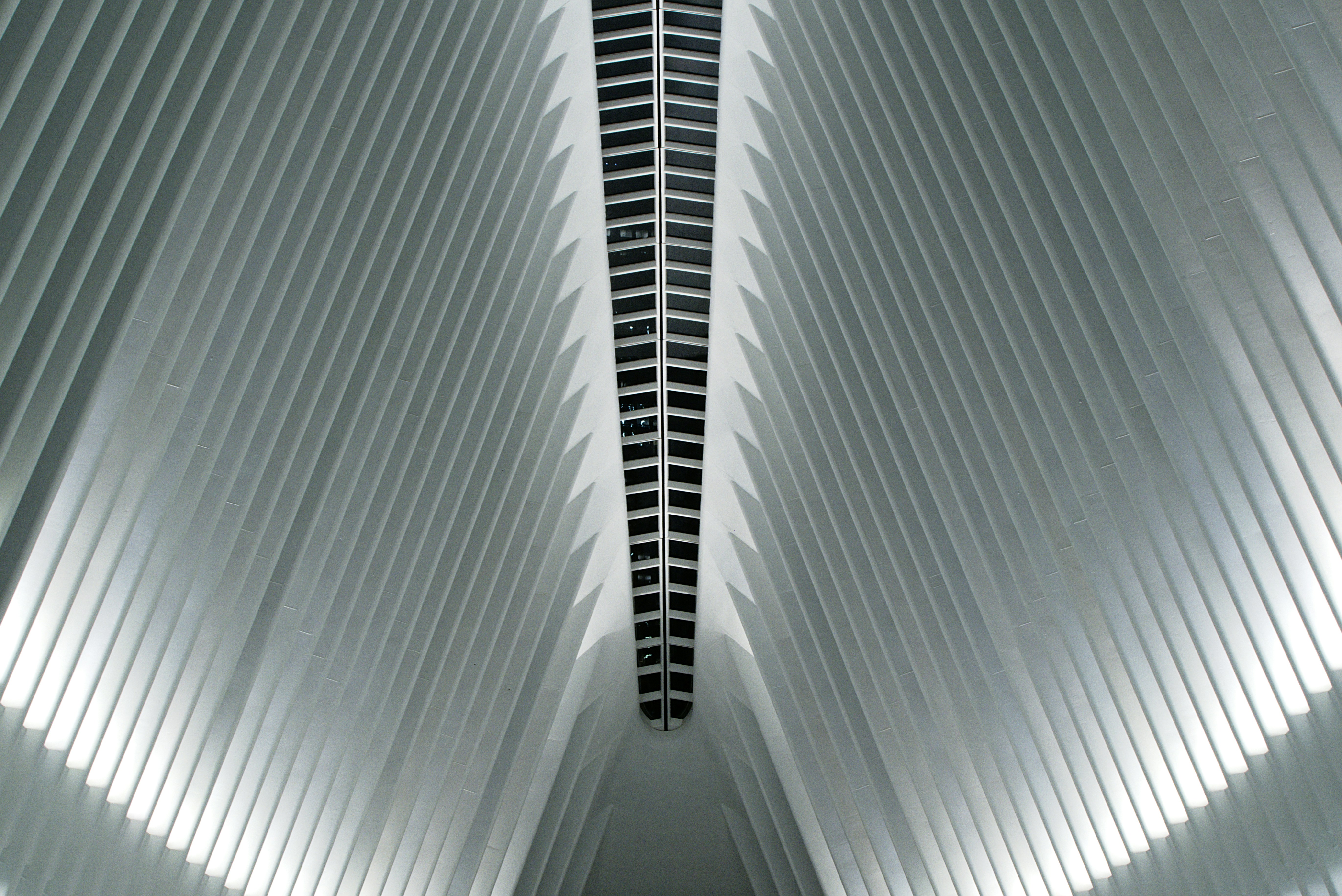 Free Unsplash photo from Rick Tap