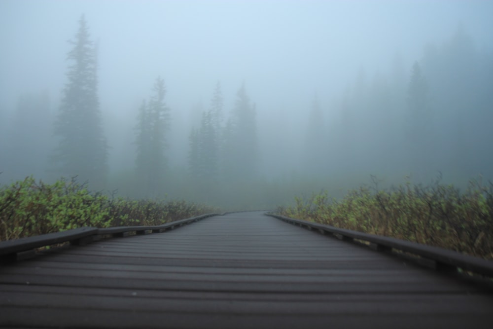 brown wooden dock on lake