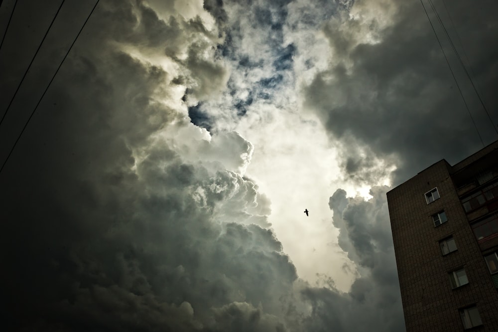 low angle photo of skyscraper under cloudy sky