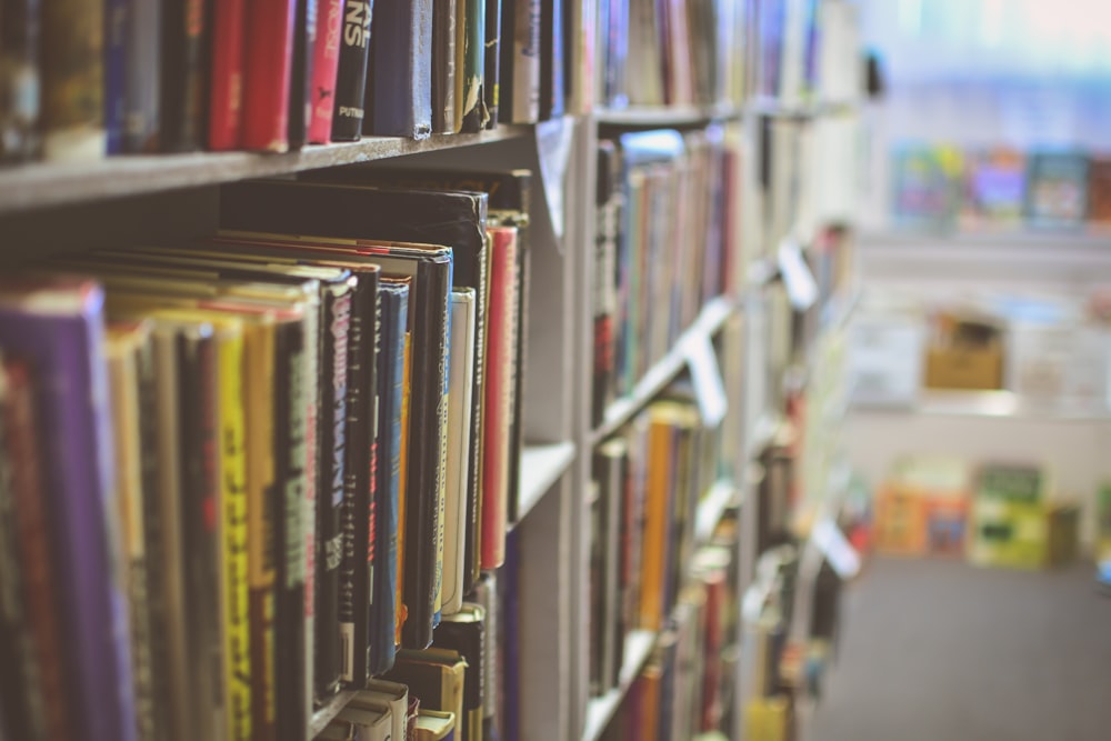 Libros organizados en una estantería