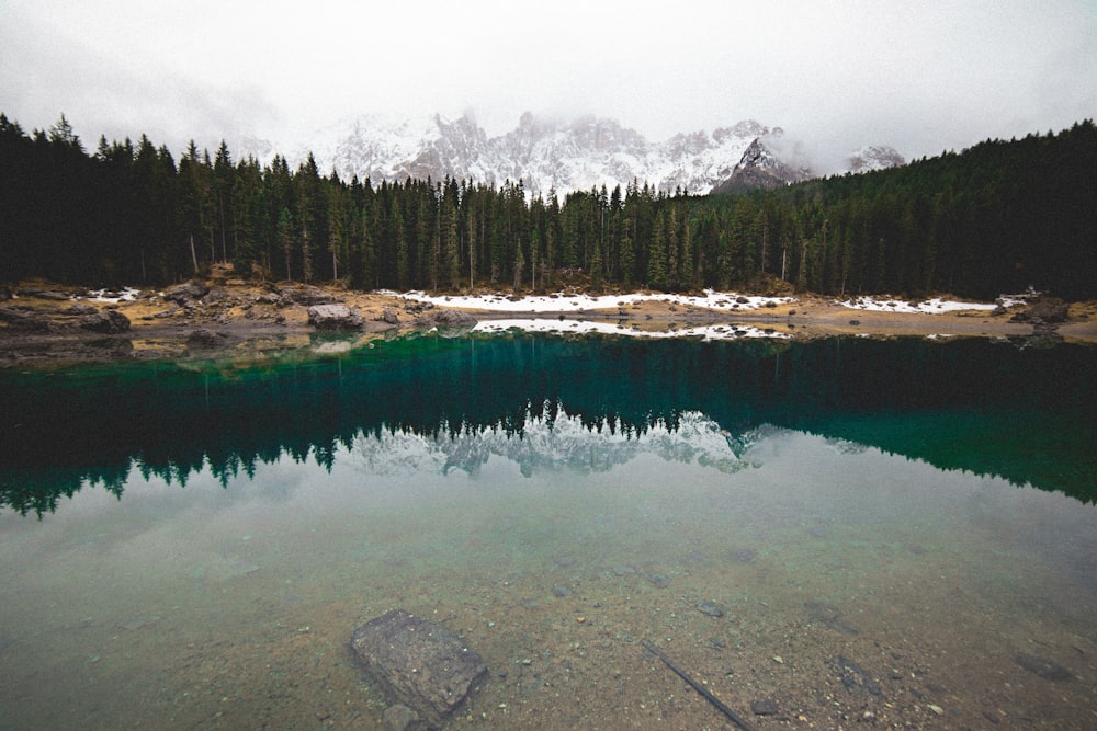 lake in forest near snow mountain