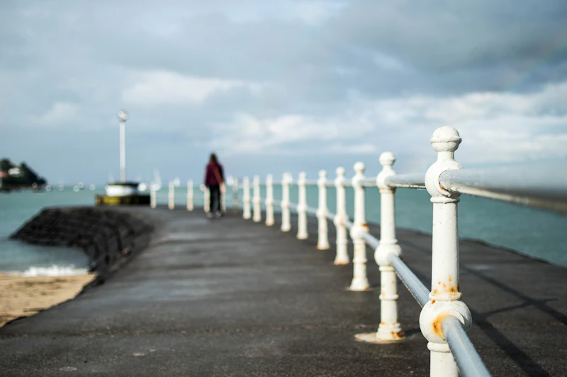 Best Walking Paths and Streets in Auckland to Explore on Foot