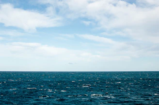 blue ocean
