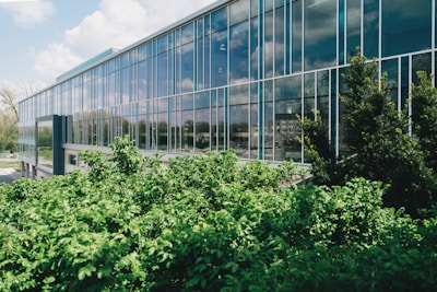 green-leafed plants beside building