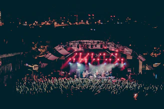 group of people watching concert