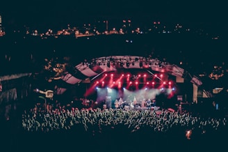 group of people watching concert