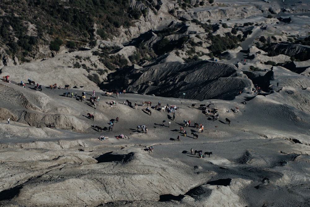 Luftaufnahmen von Menschen, die tagsüber auf dem grauen Rocky Mountain stehen