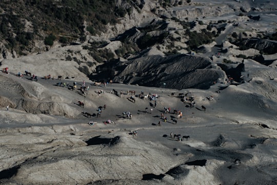 aerial photography of people standing on gray rocky mountain during daytime in Mount Bromo Indonesia