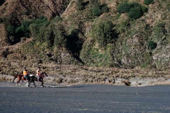 Two people on horseback travel along a sandy path, set against a backdrop of rugged terrain with patches of green vegetation covering the hills.