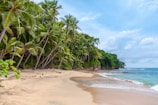 landscape photography of seashore under cumulus clouds