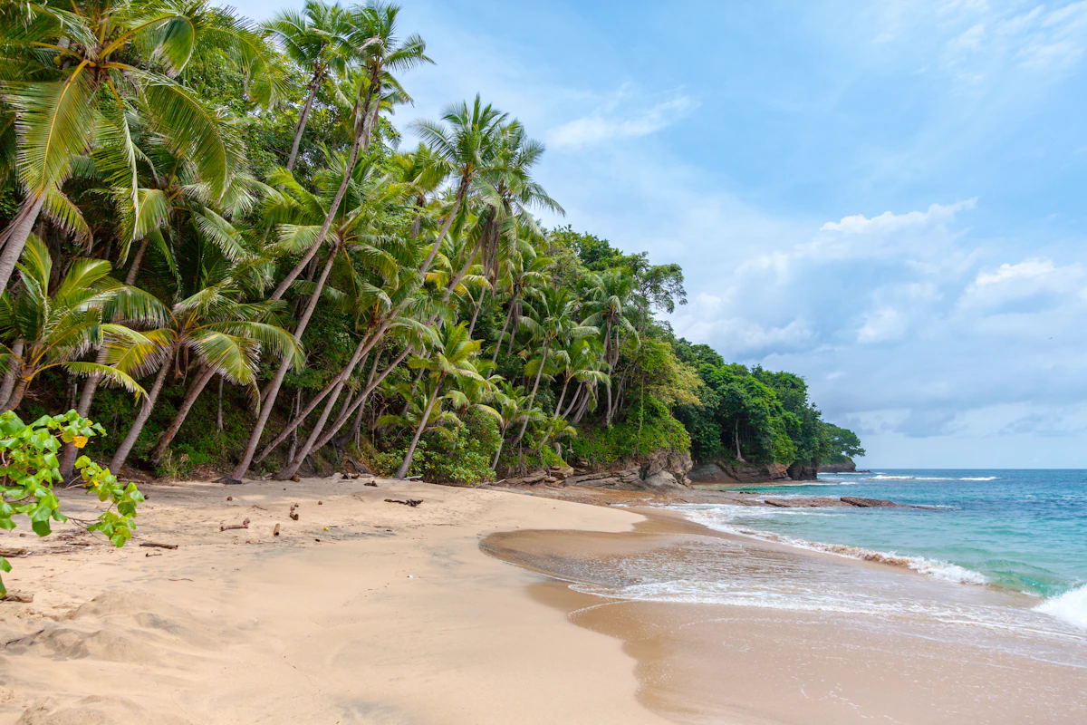 Palmeras inclinadas sobre una playa tropical de arena clara — costa de Punta Cana, República Dominicana