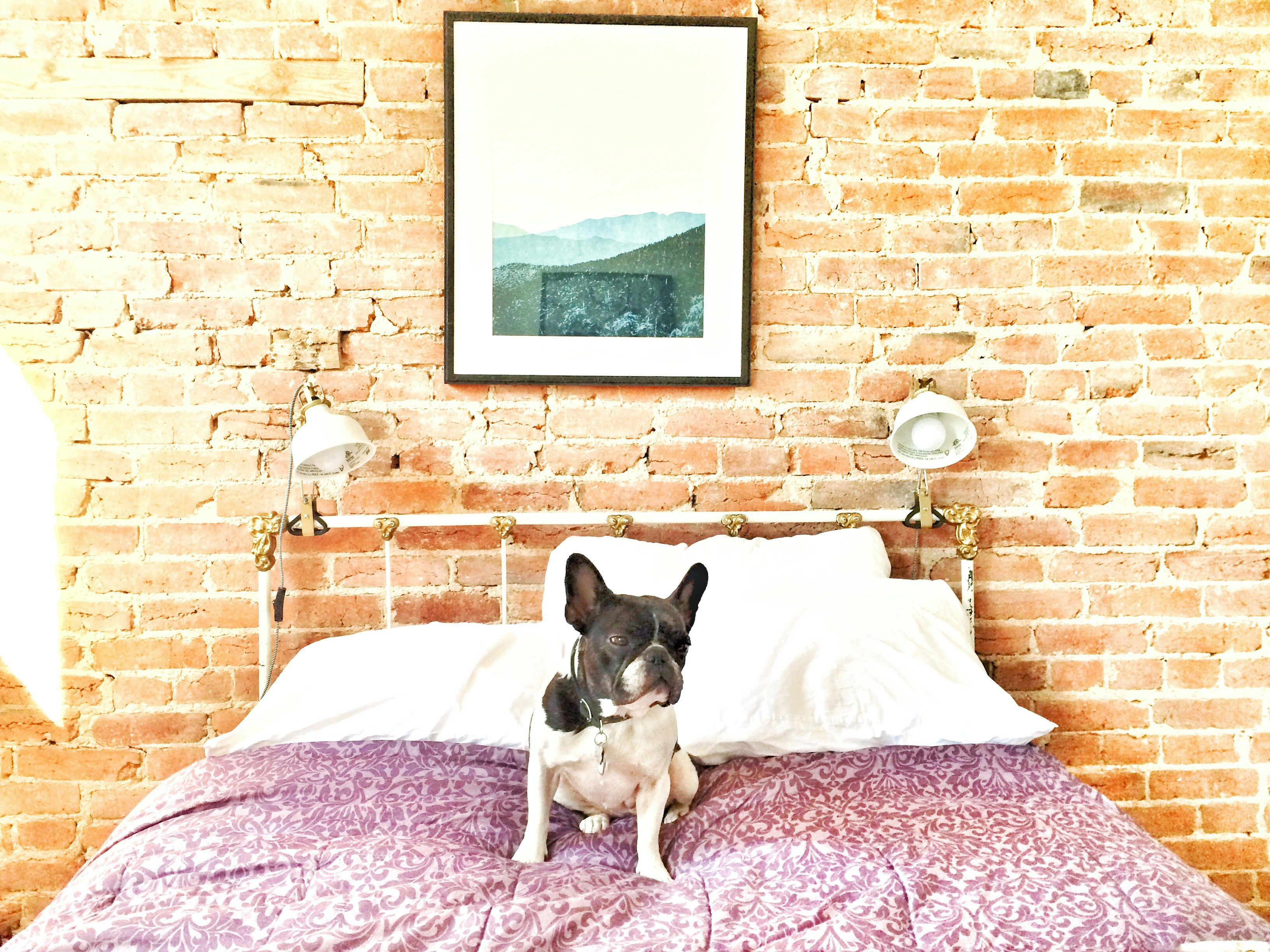 Free Unsplash photo from Maria Soledad