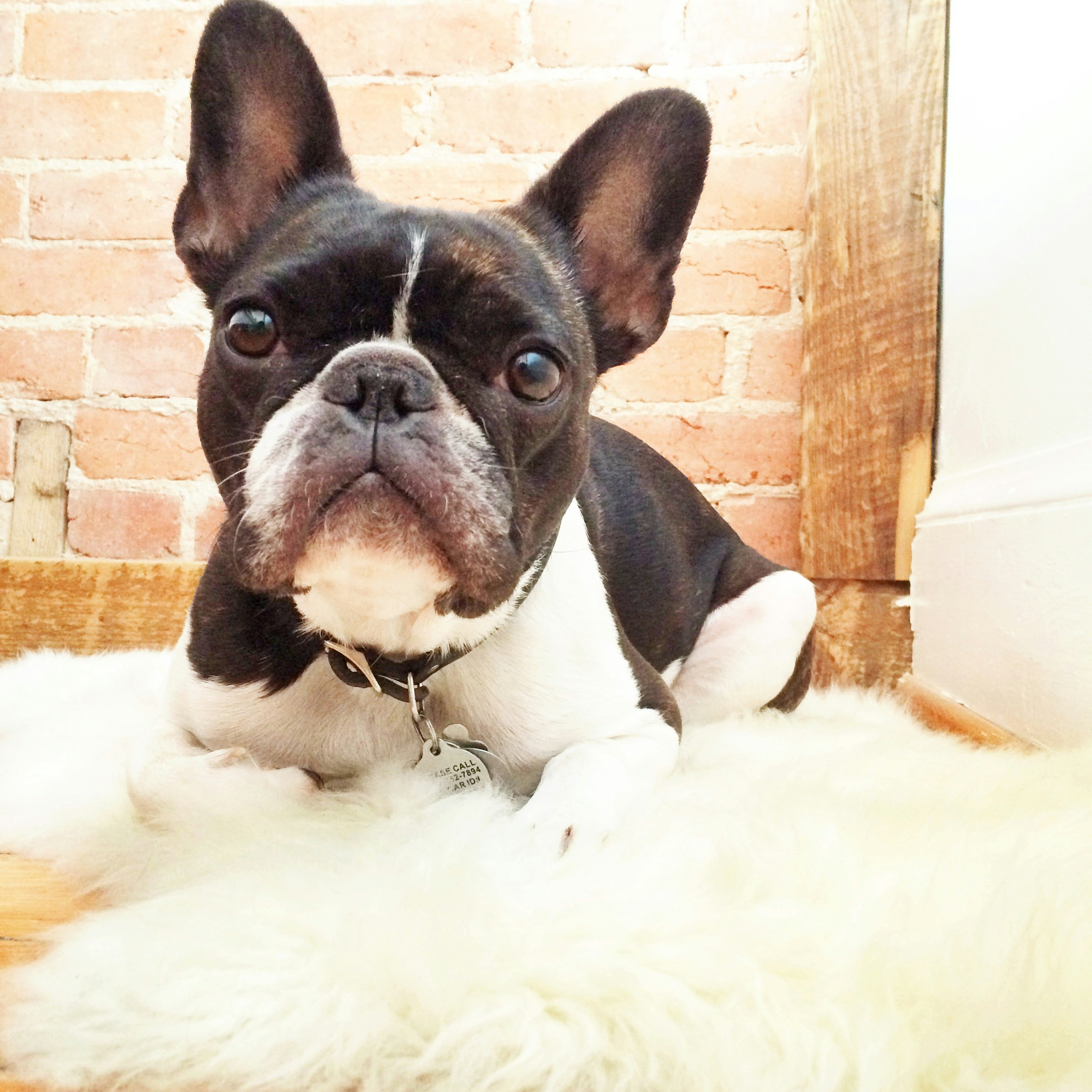 Free Unsplash photo from Maria Soledad