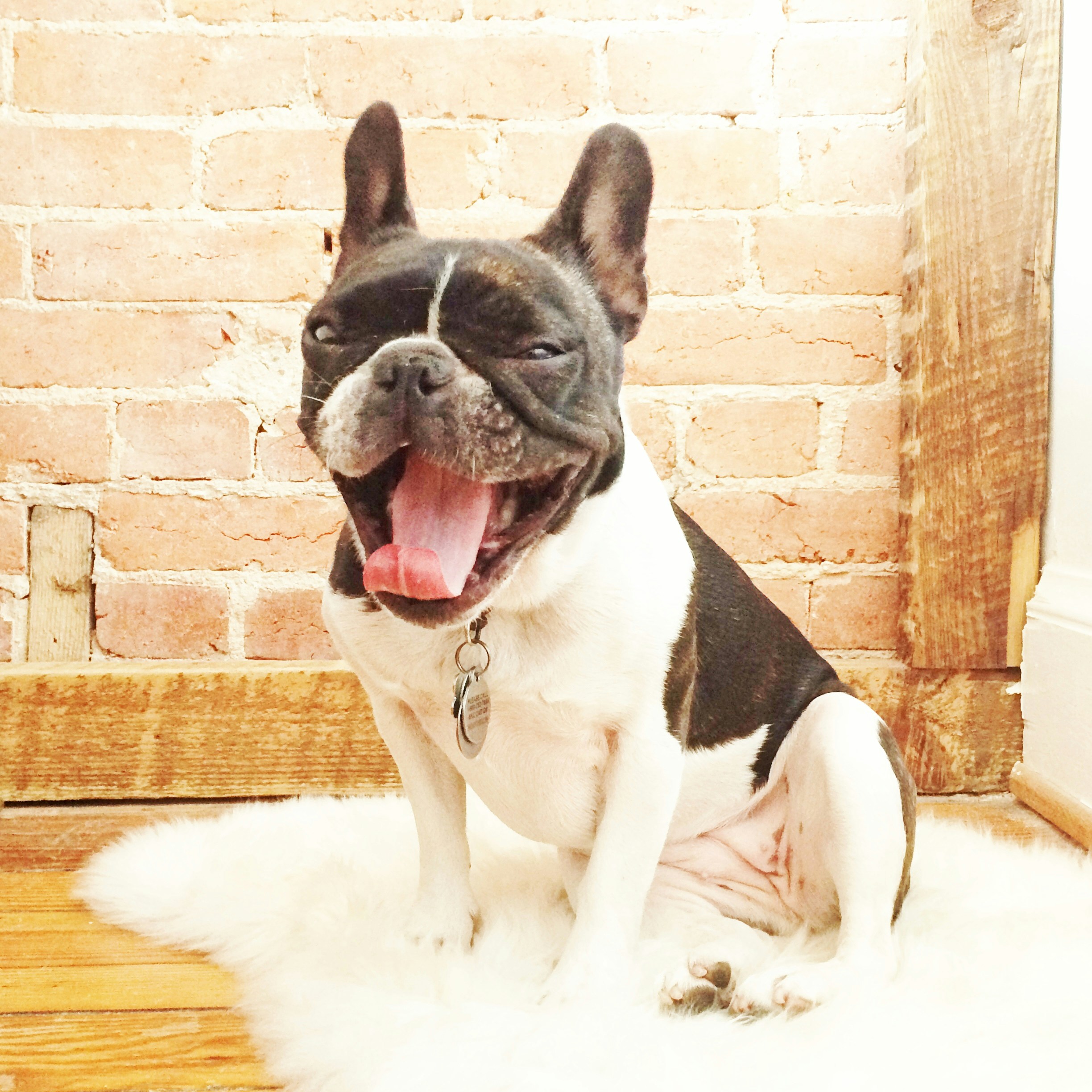 Free Unsplash photo from Maria Soledad