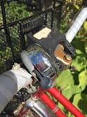 A close-up view of a bicycle handlebar featuring a metallic bell and a black lock. The handlebar is wrapped with white tape, and the bicycle frame is red. The background includes green foliage and a black mesh basket.
